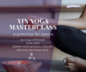yin yoga masterclass sevilla